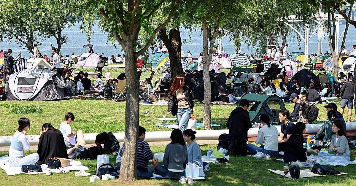 공원 자료 사진 / 뉴스1