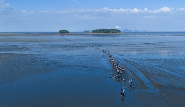 고창갯벌 / 고창군