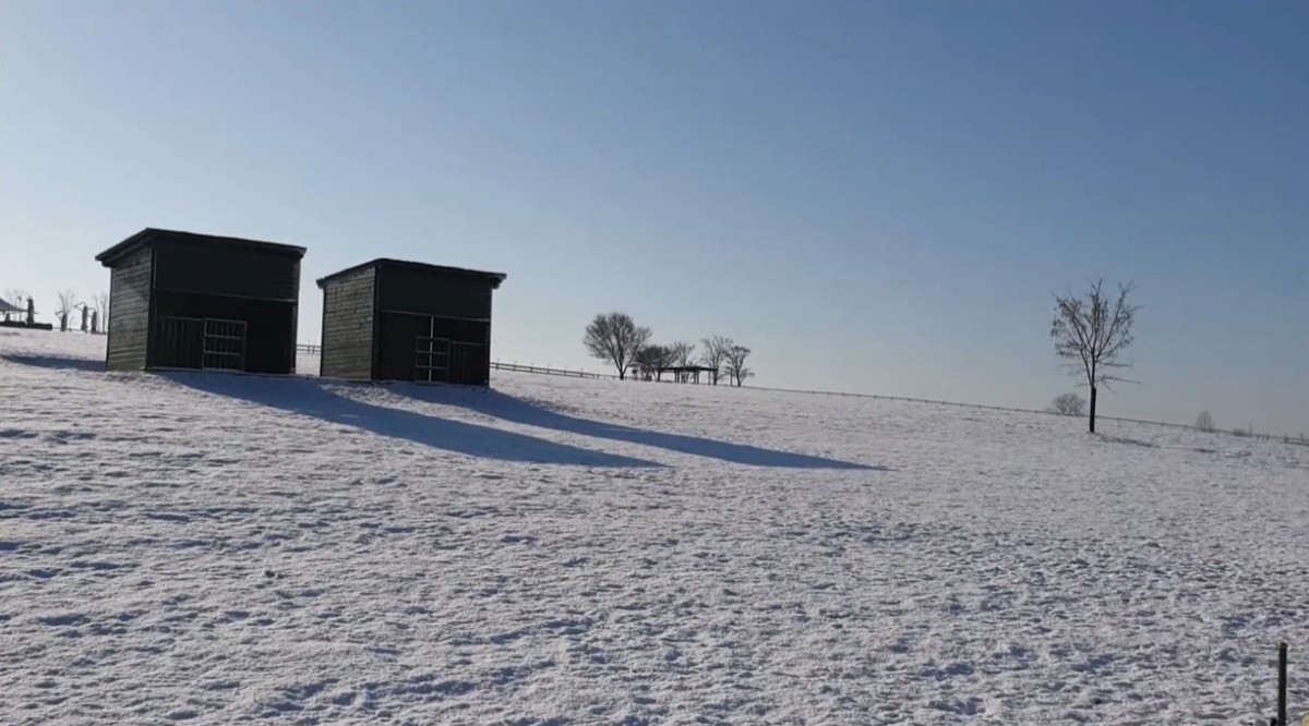 눈 덮인 안성팜랜드. / 유튜브 '산으로 들로, 행인방' 영상 캡쳐