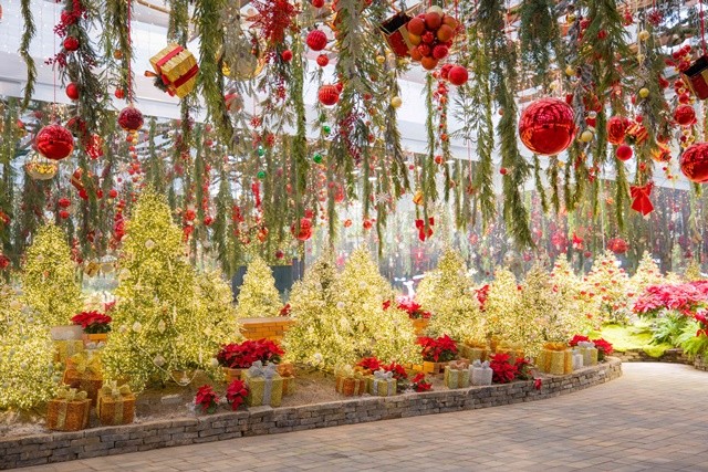 겨울컨셉으로 꾸민 가평베고니아새정원