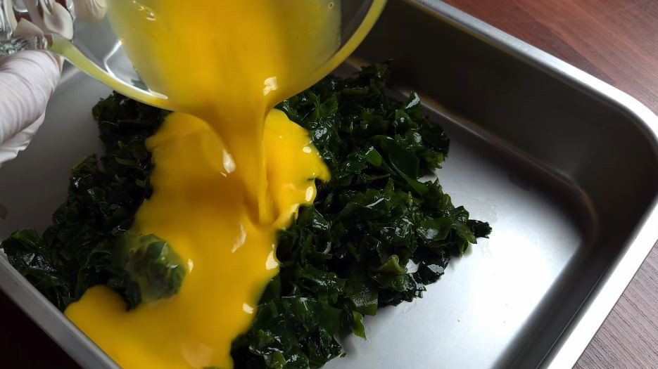 유튜브 '뇨리 티브이'