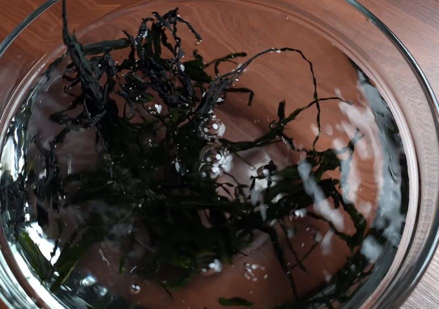 유튜브 '뇨리 티브이'