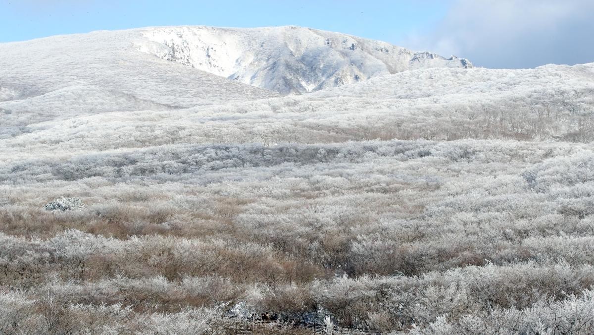 제주 한라산 1100고지휴게소에서 탐방객들이 눈꽃 설경을 감상하고 있다.  / 뉴스1