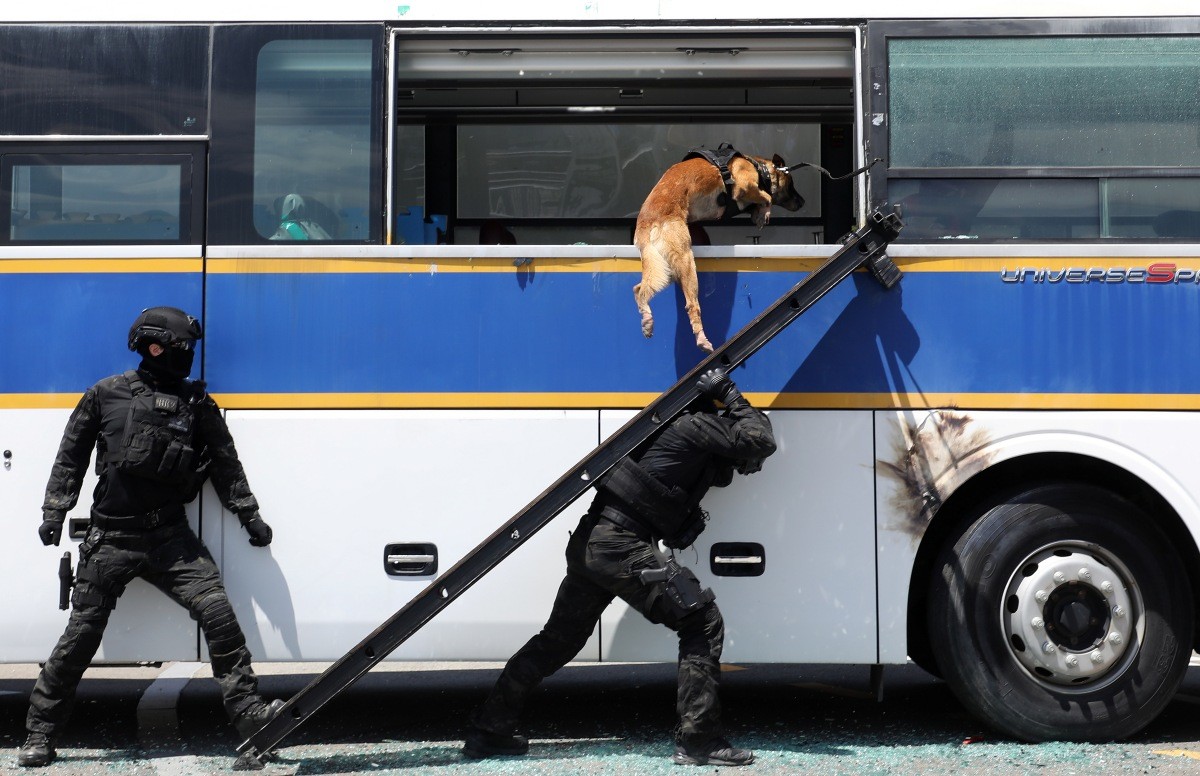 테러범 진압 작전 투입되는 경찰견. / 뉴스1