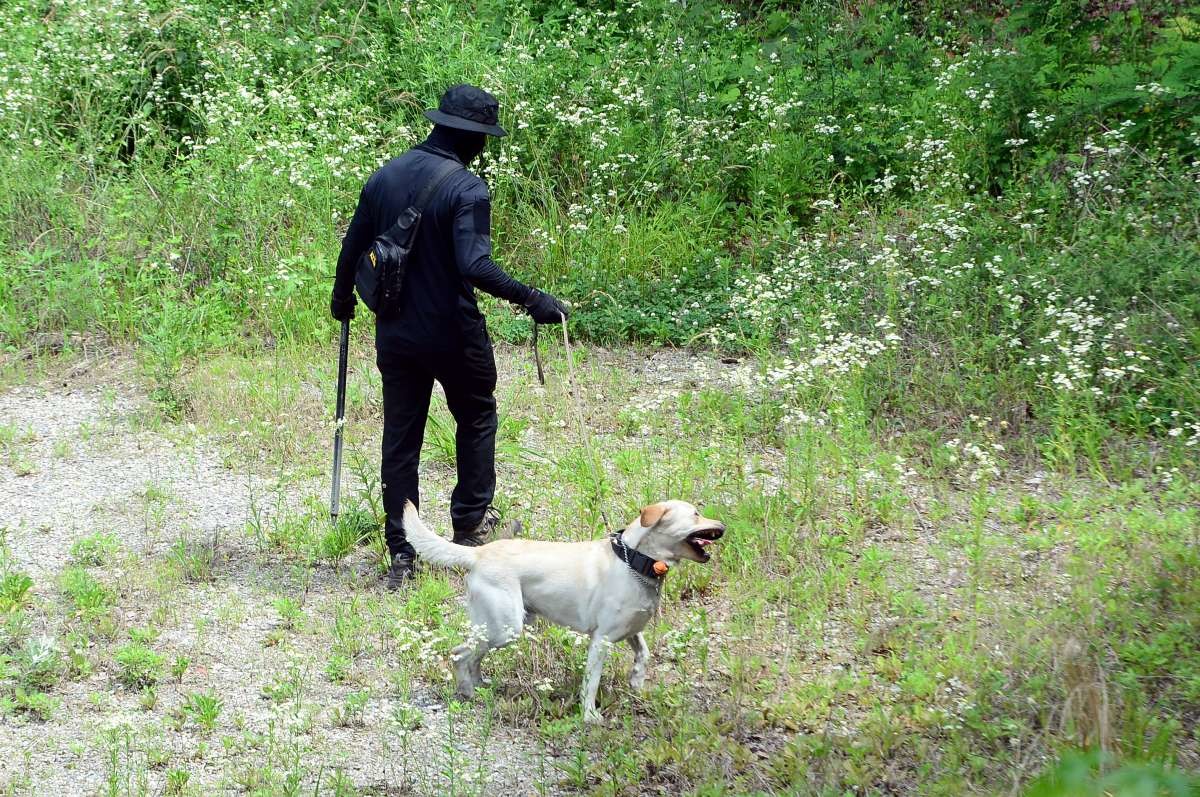 경찰이 경찰견과 수색작업을 벌이고 있다. / 뉴스1
