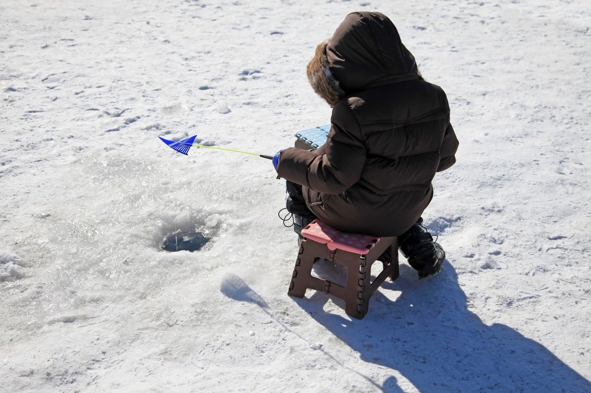 화천산천어축제 얼음낚시. / Johnathan21-shutterstock.com