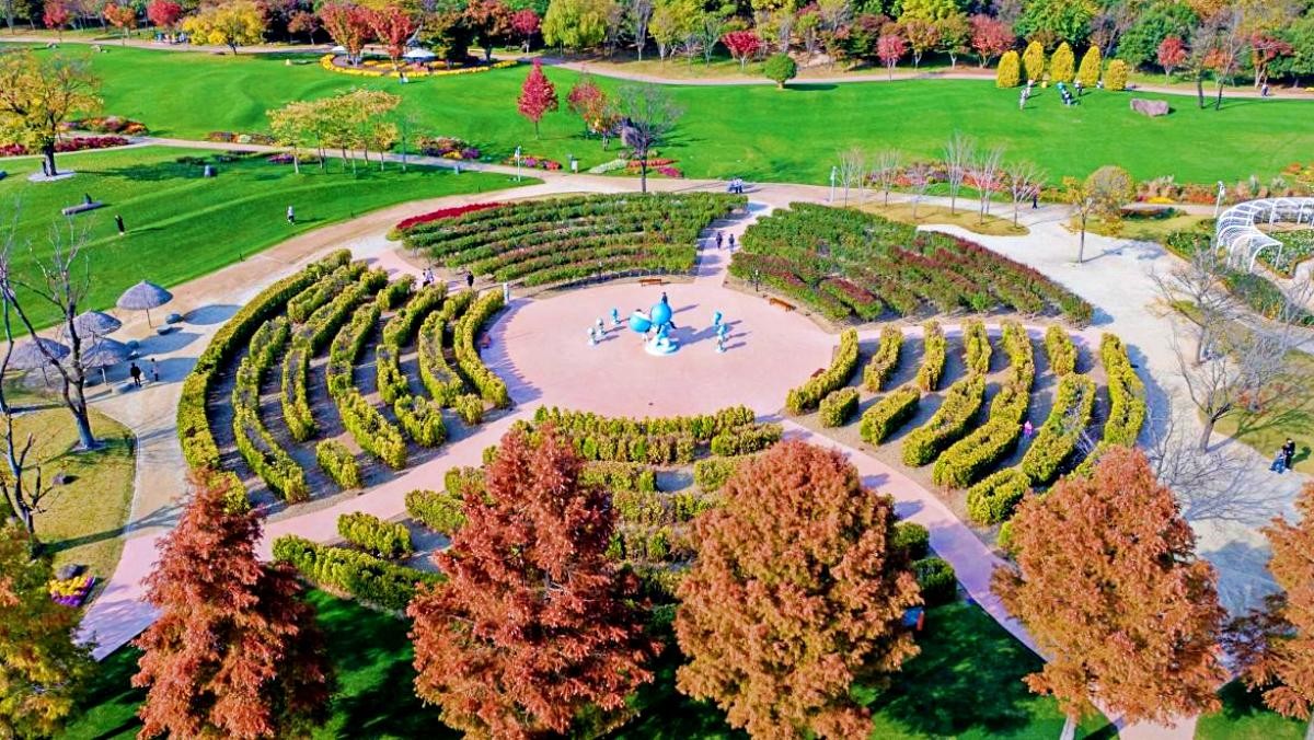 순천만국가정원 11월 풍경. / 순천시 제공