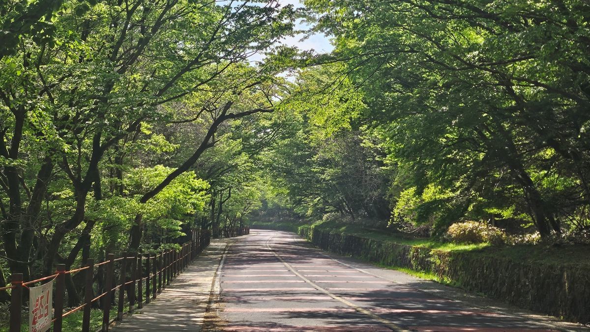한라산국립공원 어리목 등반로 입구 자료사진. / 연합뉴스