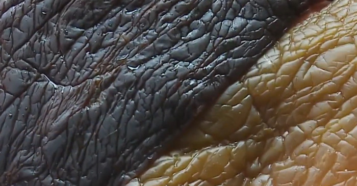 유튜브 'KBS 다큐'