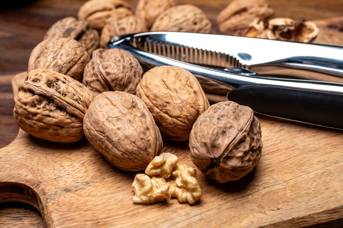 기사 내용 이해를 돕기 위한 호두 사진 / barmalini-Shutterstock.com
