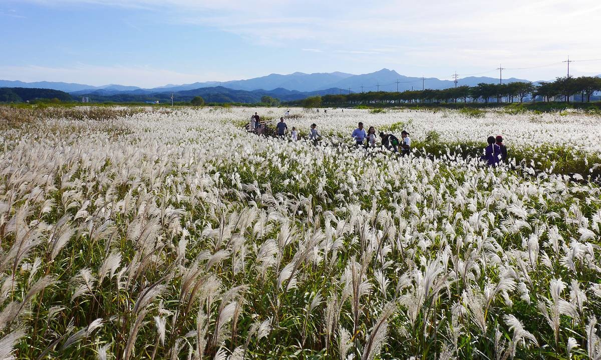 강원도 양양 여행지 / 뉴스1