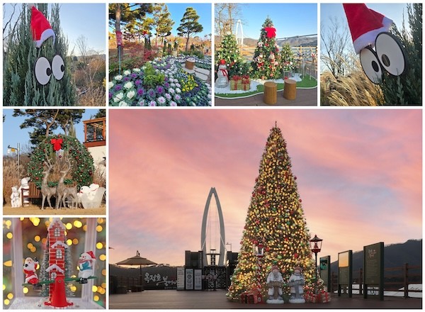 옥정호 출렁다리.붕어섬 생태공원 / 임실군