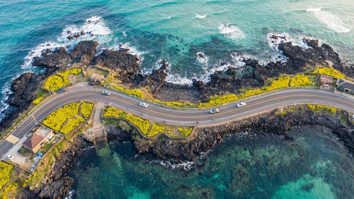 기사를 바탕으로 AI가 생성한 자료사진. 실제와 다를 수 있습니다.