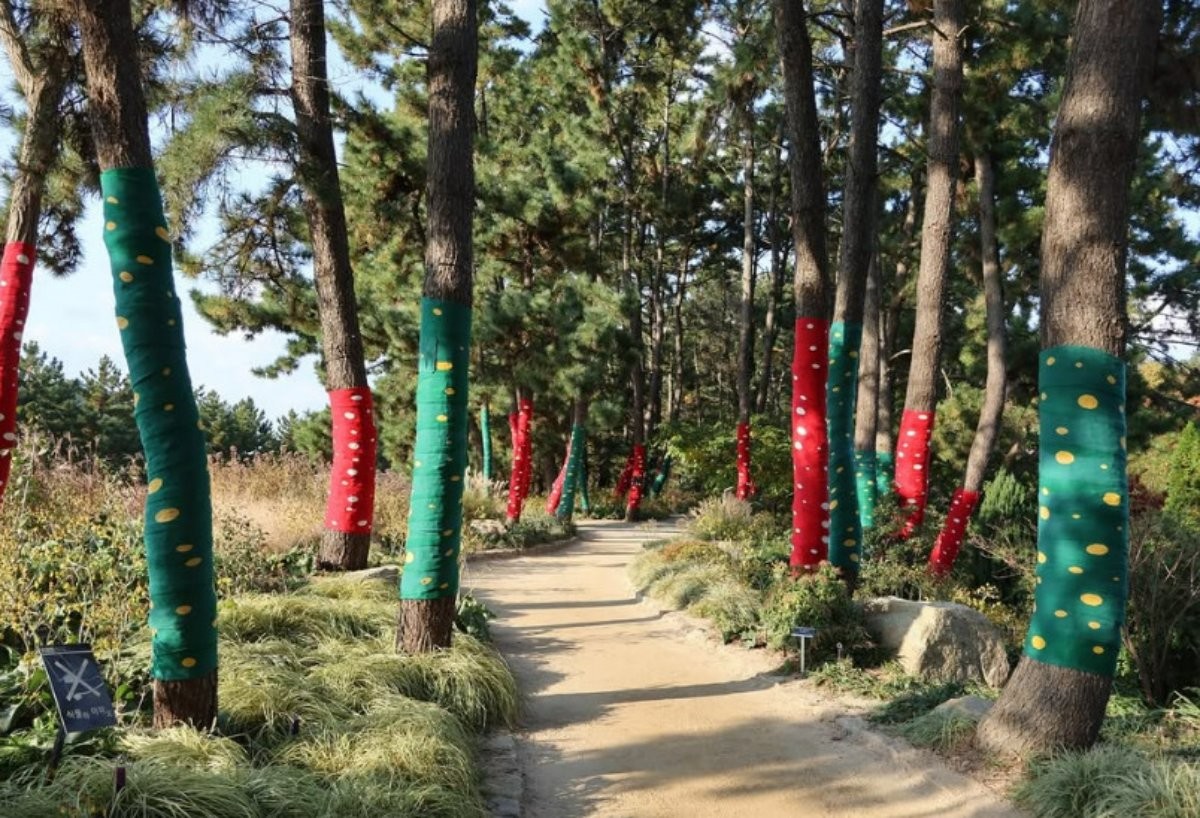 천리포수목원. / 천리포수목원 공식 인스타그램