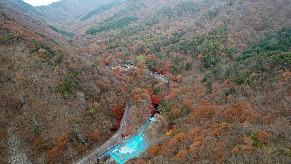 성주산 자연휴양림 / 보령시