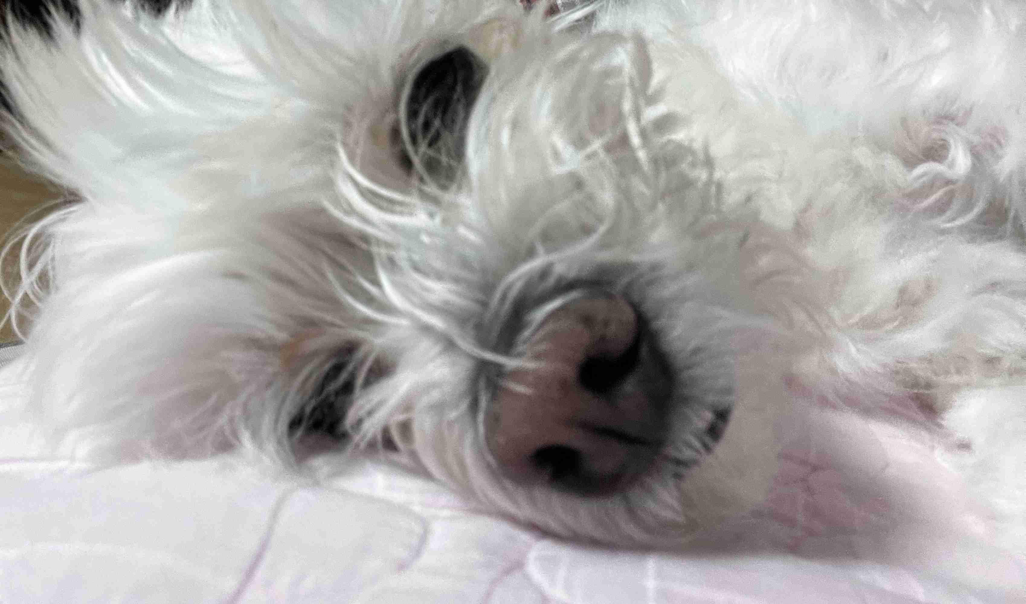 유민재 기자 프로필