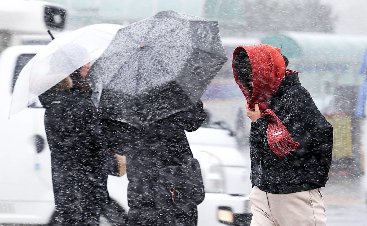 '다시 겨울' / 뉴스1