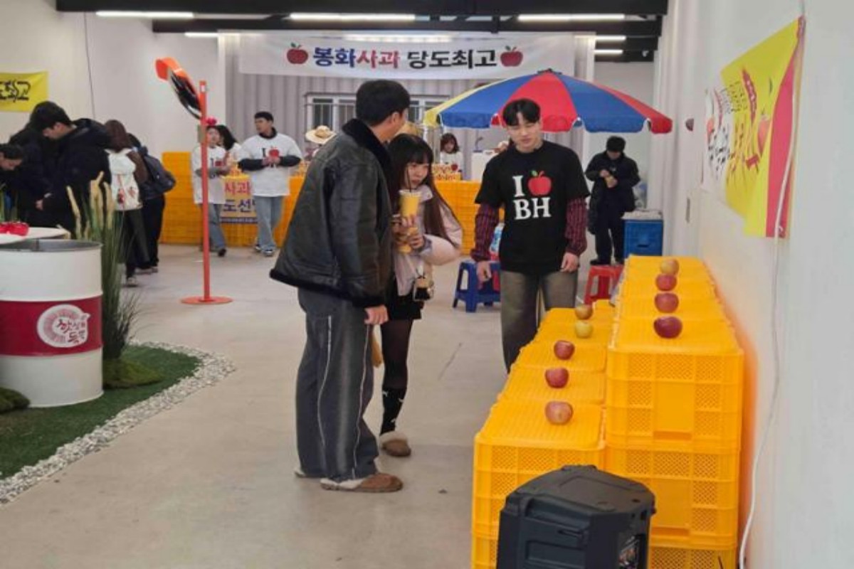 봉화군 사과 팝업 스토어 / 봉화군 제공