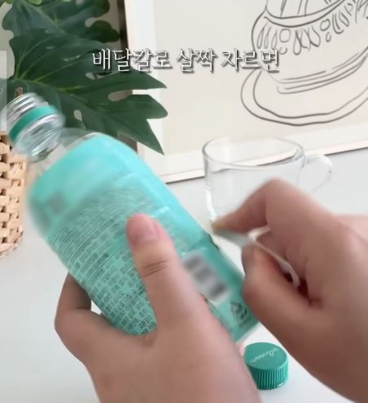 잘 잘리지 않는 페트병 포장을 배달 커터칼로 쉽게 자르는 모습. / 유튜브 '봄집사'