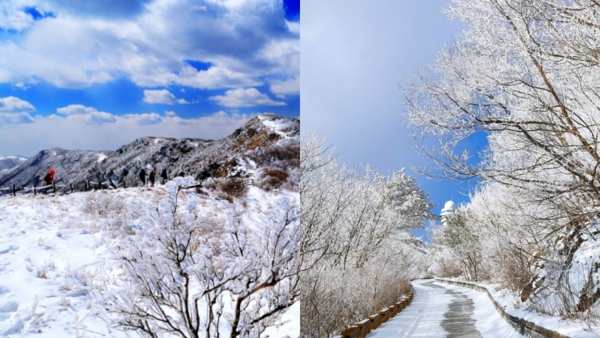 소백산 상고대  / 단양군 제공