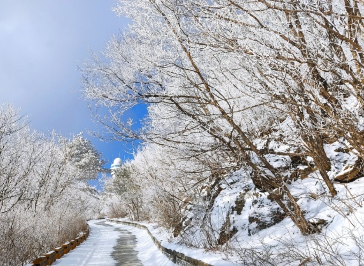 소백산 상고대 / 단양군 제공