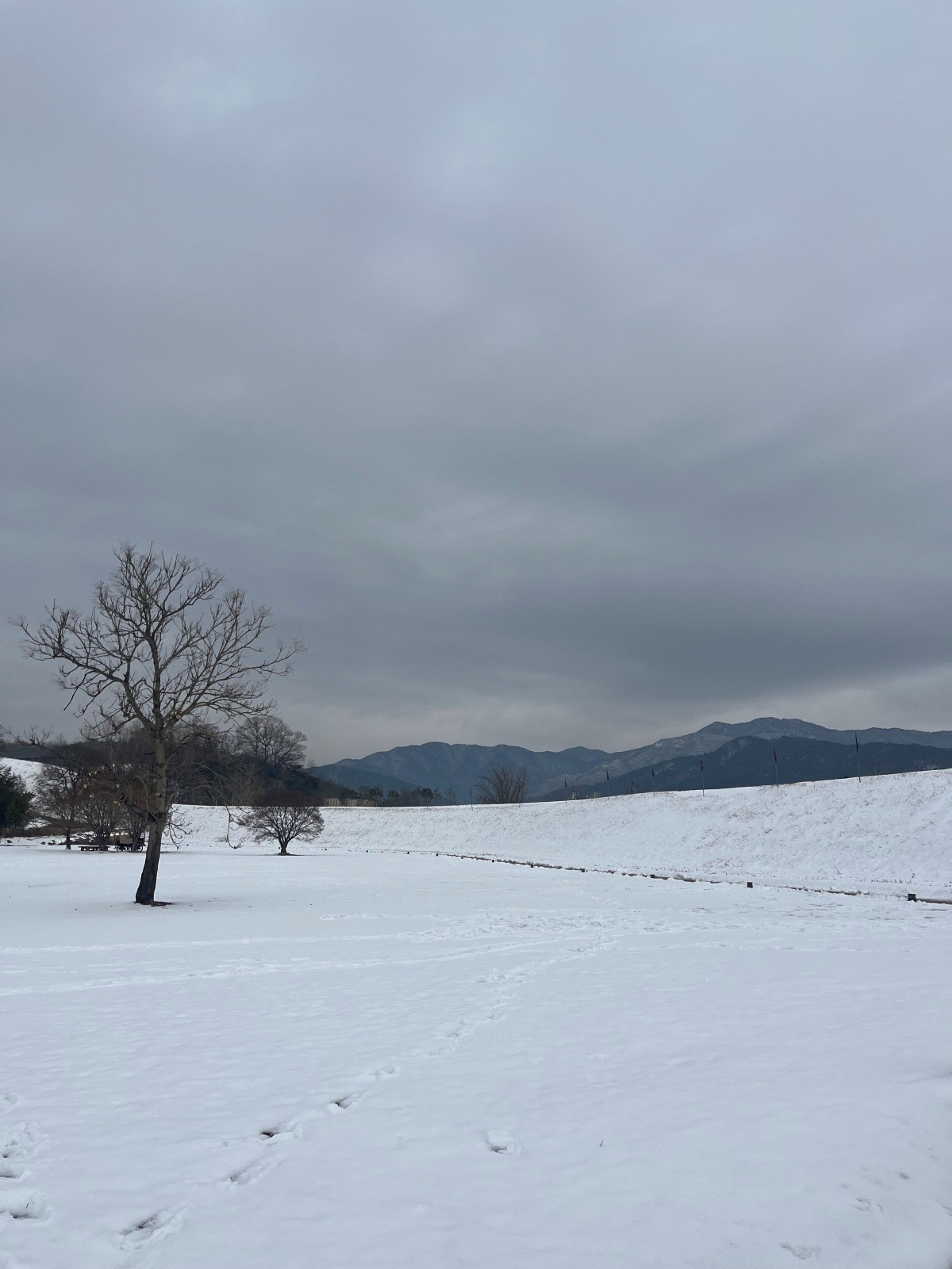 서산 해미읍성의 눈 내린 풍경 / 위키트리 정혁진 기자
