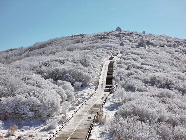 추천관광지- 구례 지리산 노고단