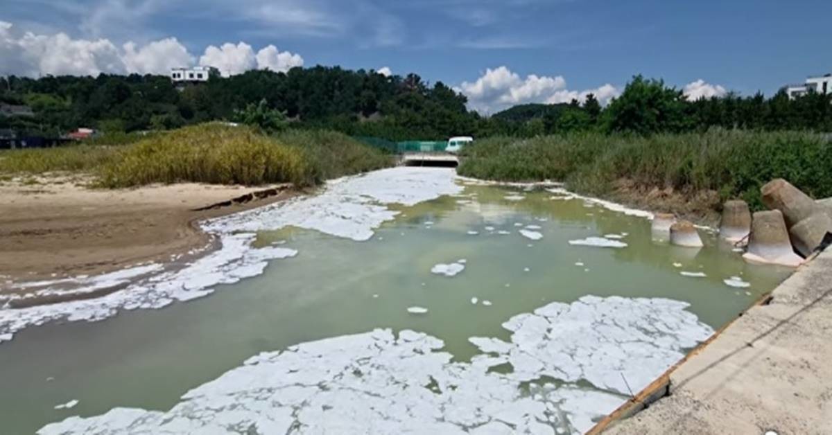 이차전지 생산 공장 인근인 포항시 죽천리 해안가 일대 거품현상/위키트리 db