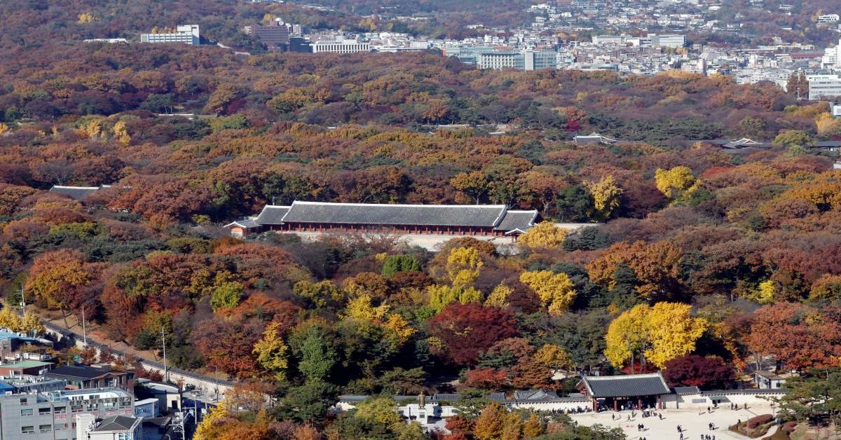 서울 종로구 종묘 모습 / 뉴스1