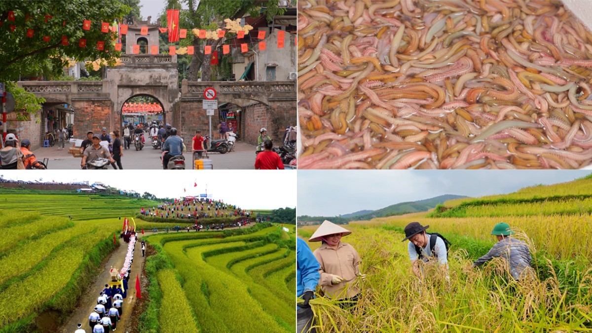 '세계테마기행' 살아 있네, 동남아 알짜 여행 1부, 베트남 북부 편 자료 사진. / EBS1 제공