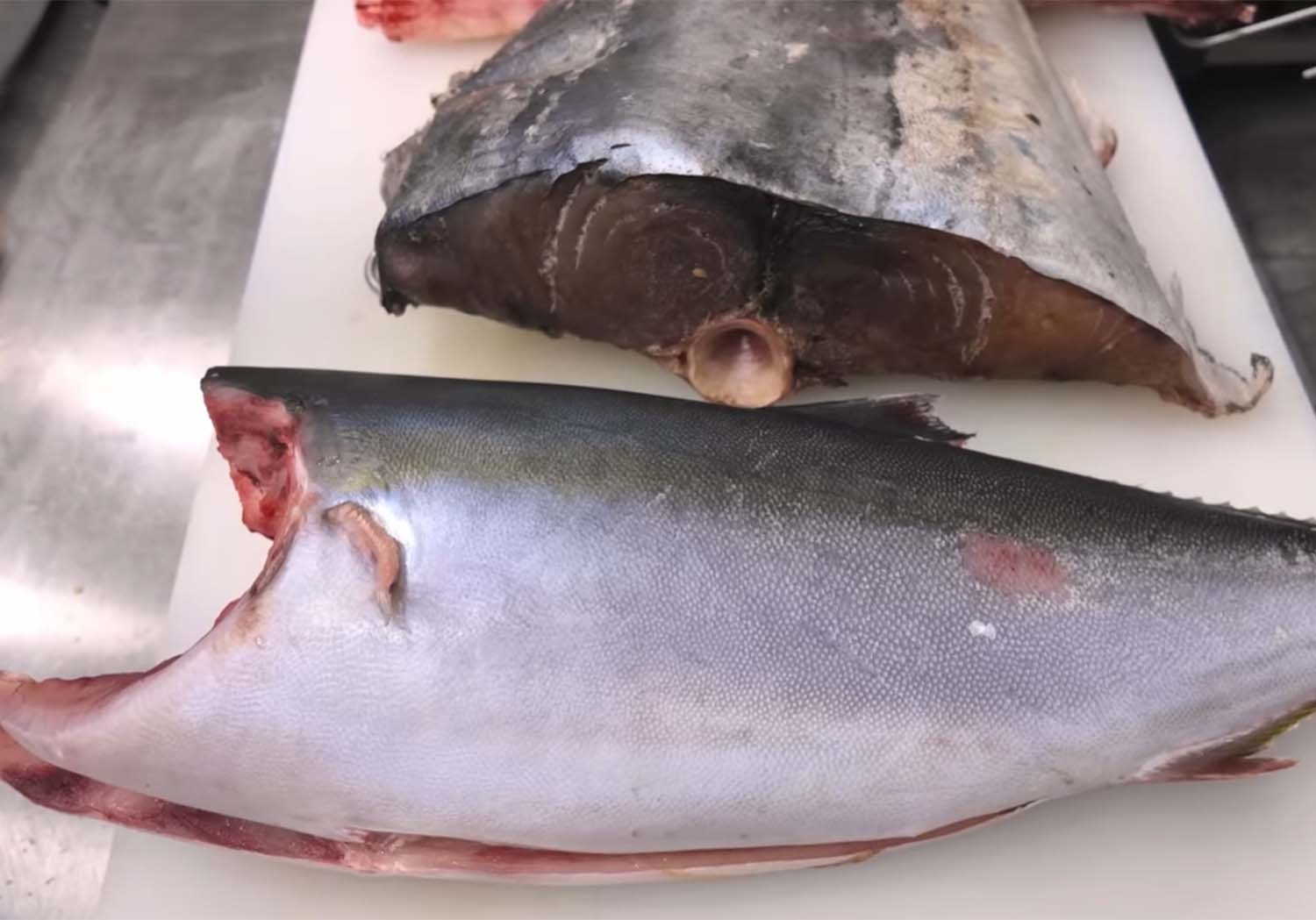 한 달간 드라이 에이징 방식으로 숙성한 생선. / '일타쿠마' 유튜브