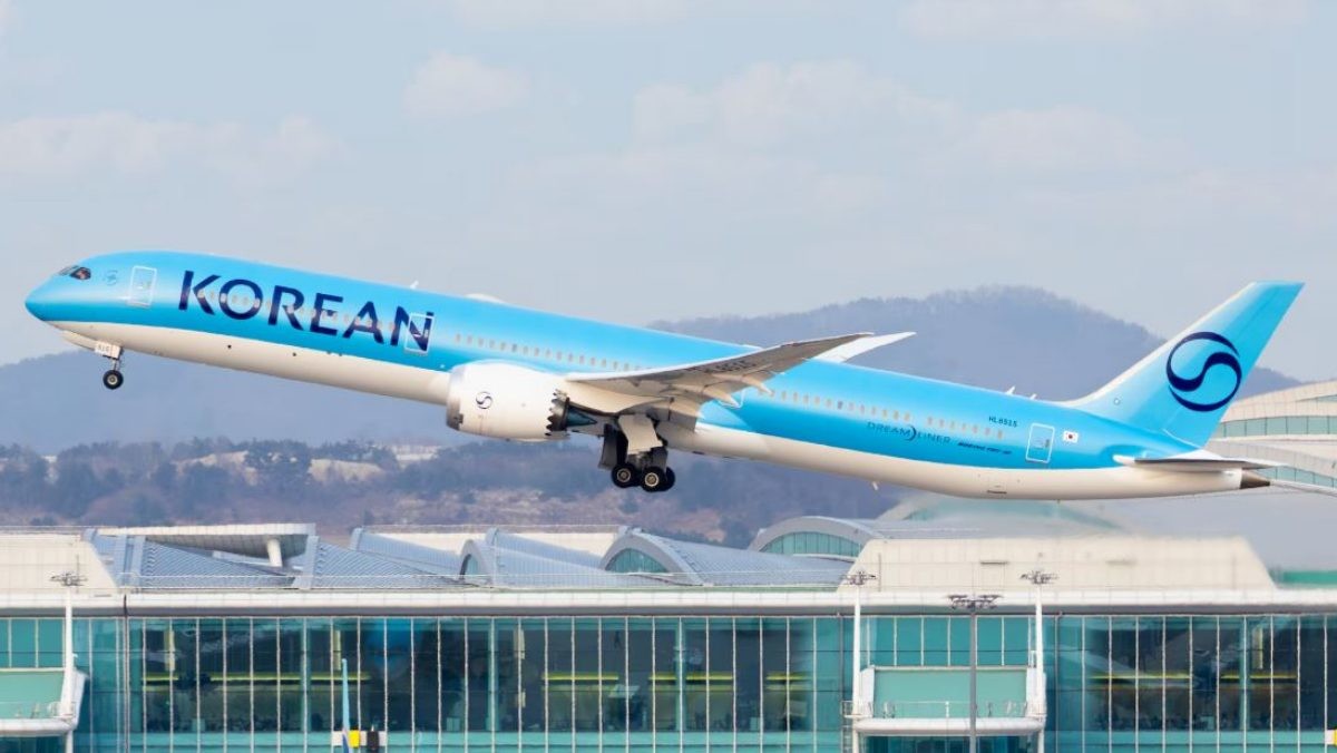 대한항공 비행기 / 뉴스1