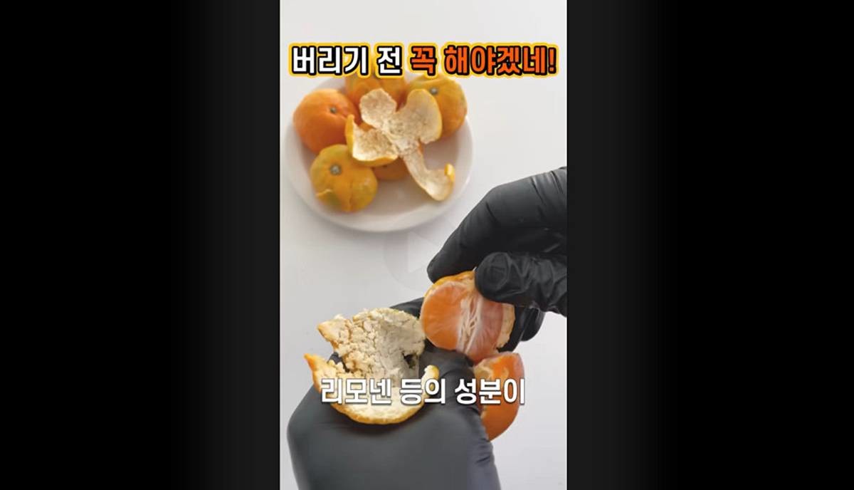 리모넨 등 성분이 풍부한 귤껍질 / 유튜브 '봄집사'