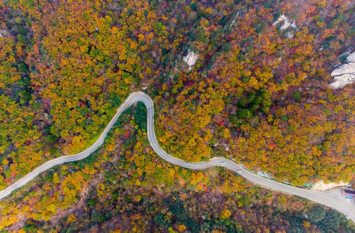 한계령 드라이브 코스. / 뉴스1
