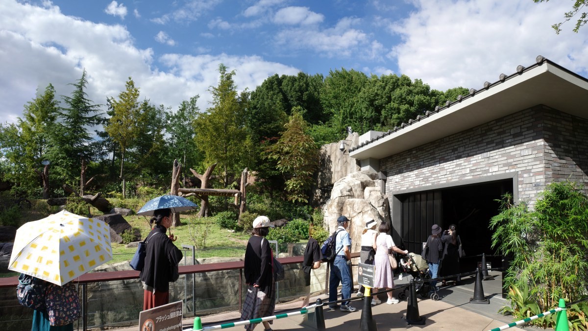 일본 우에노 동물원 / Hiroshi-Mori-Stock-shutterstock.com