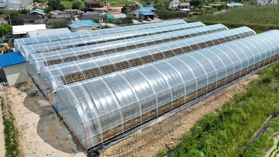 청송군이 농림축산식품부가 시행하는 ‘2026년 스마트과수원 특화단지 조성’ 공모사업에 선정됐다/청송군