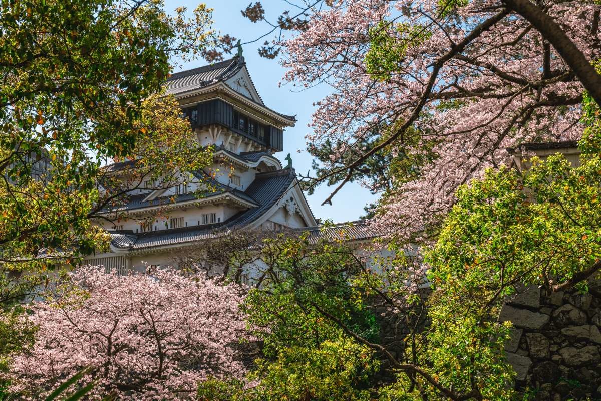 일본 후쿠오카 큐슈의 고쿠라성. / Richie Chan-shutterstock.com