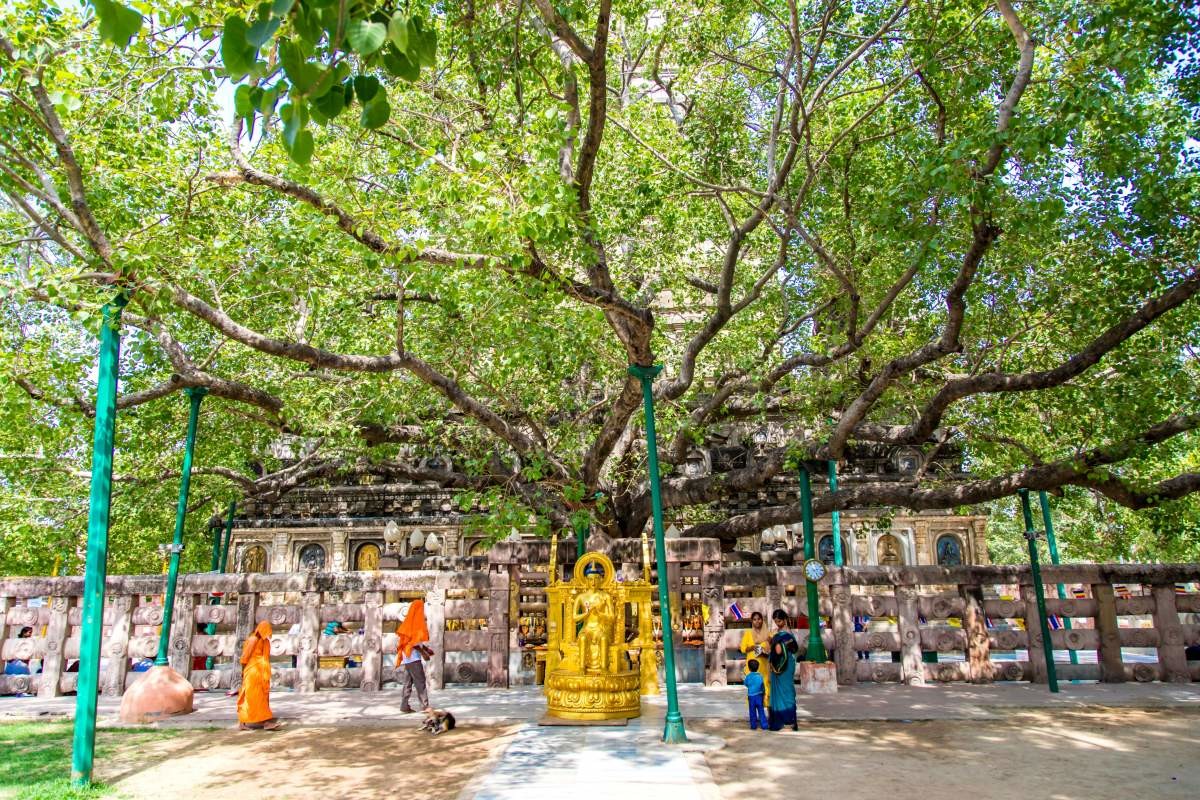 인도 보드가야. /Rahul D'silva-shutterstock.com