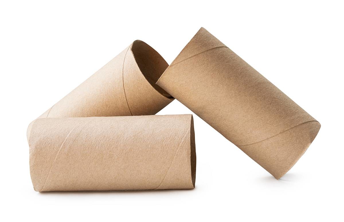 다 쓴 두루마리 휴지심 / Natdanai99-Shutterstock.com