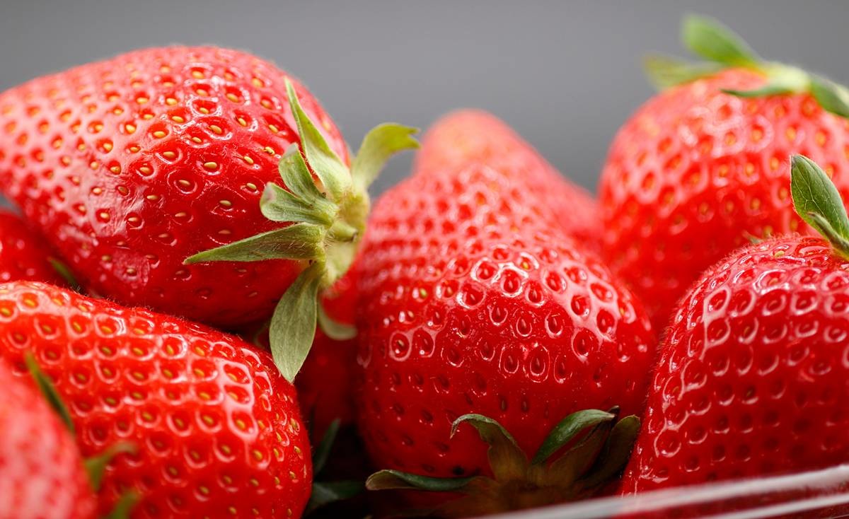 딸기 / Cocomo1996-Shutterstock.com