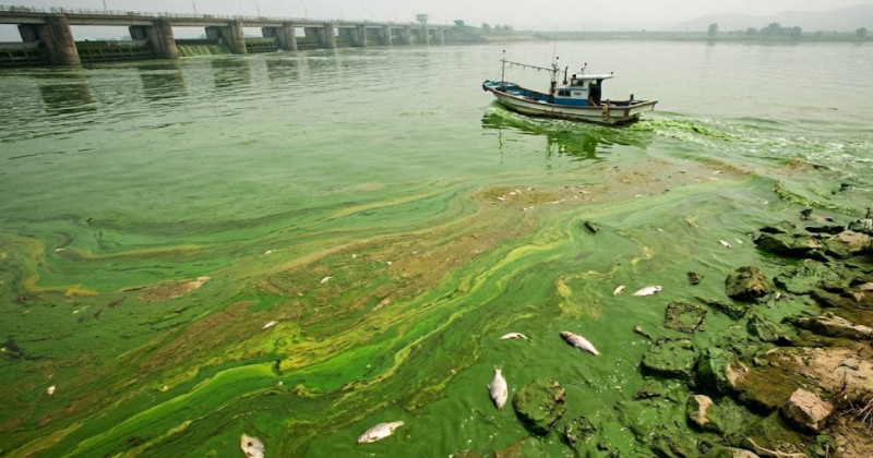 기사 이해를 위해 AI로 제작된 이미지
