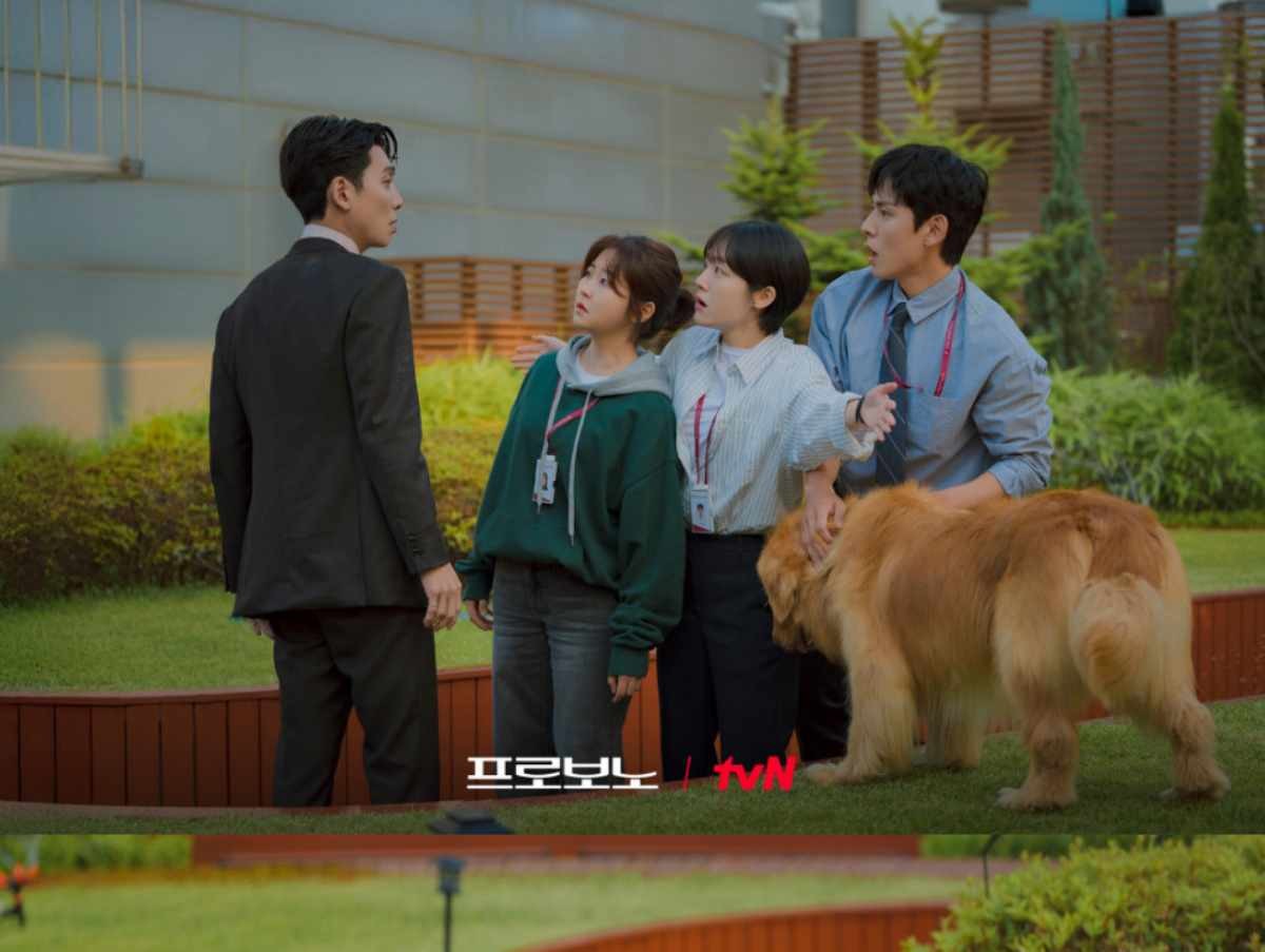 '프로보노' 주요 출연자들. / tvN 제공