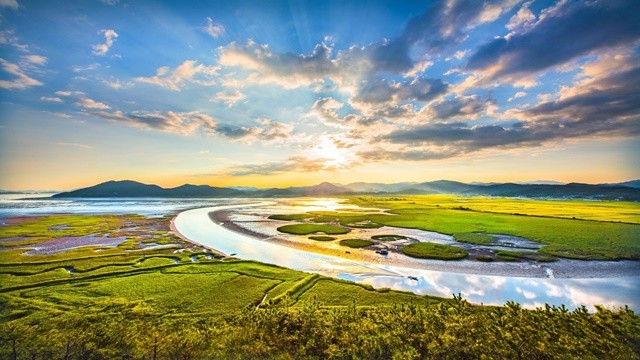 용산전망대에서 바라본 순천만습지