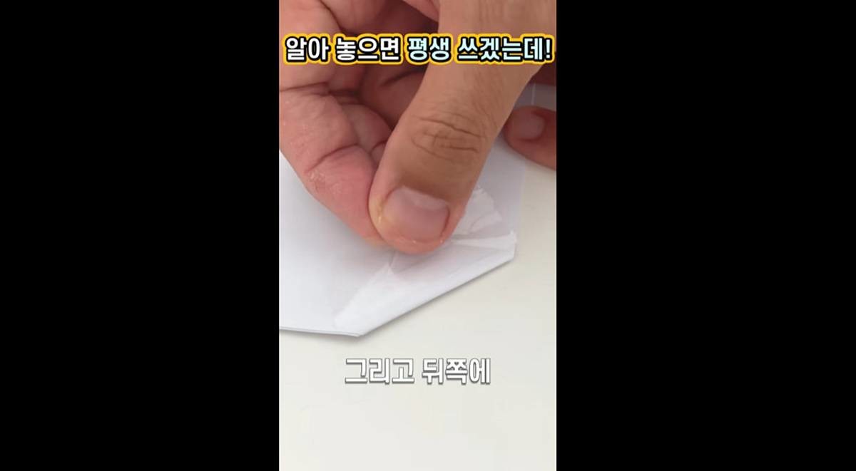 뒤로 돌려 테이프로 고정 / 유튜브 '봄집사'