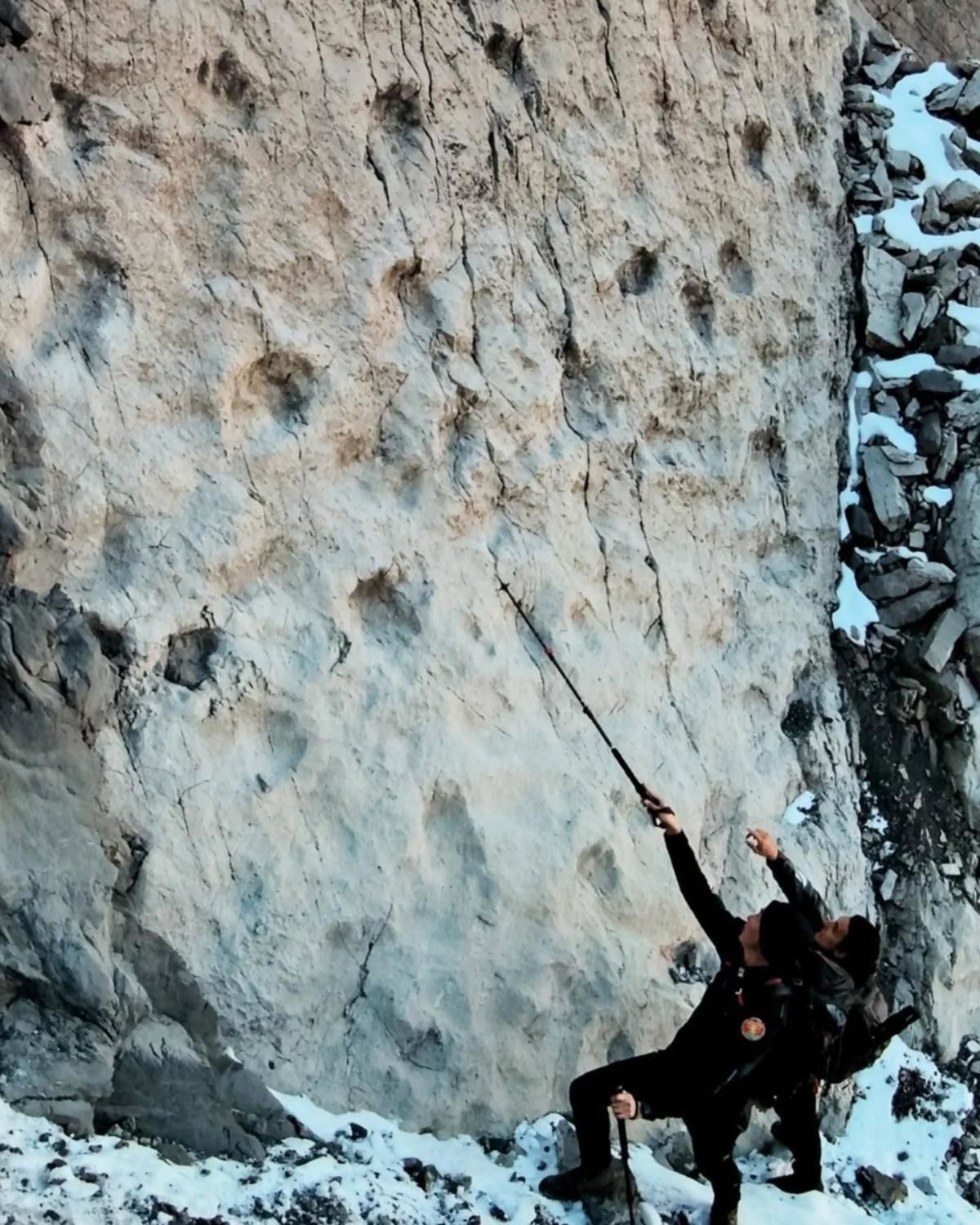 알프스에서 발견된 공룡 발자국 화석. / 밀라노 자연사 박물관 페이스북-연합뉴스