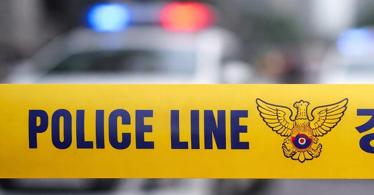 기사에 대한 이해를 돕기 위해 AI 툴로 제작한 자료 사진