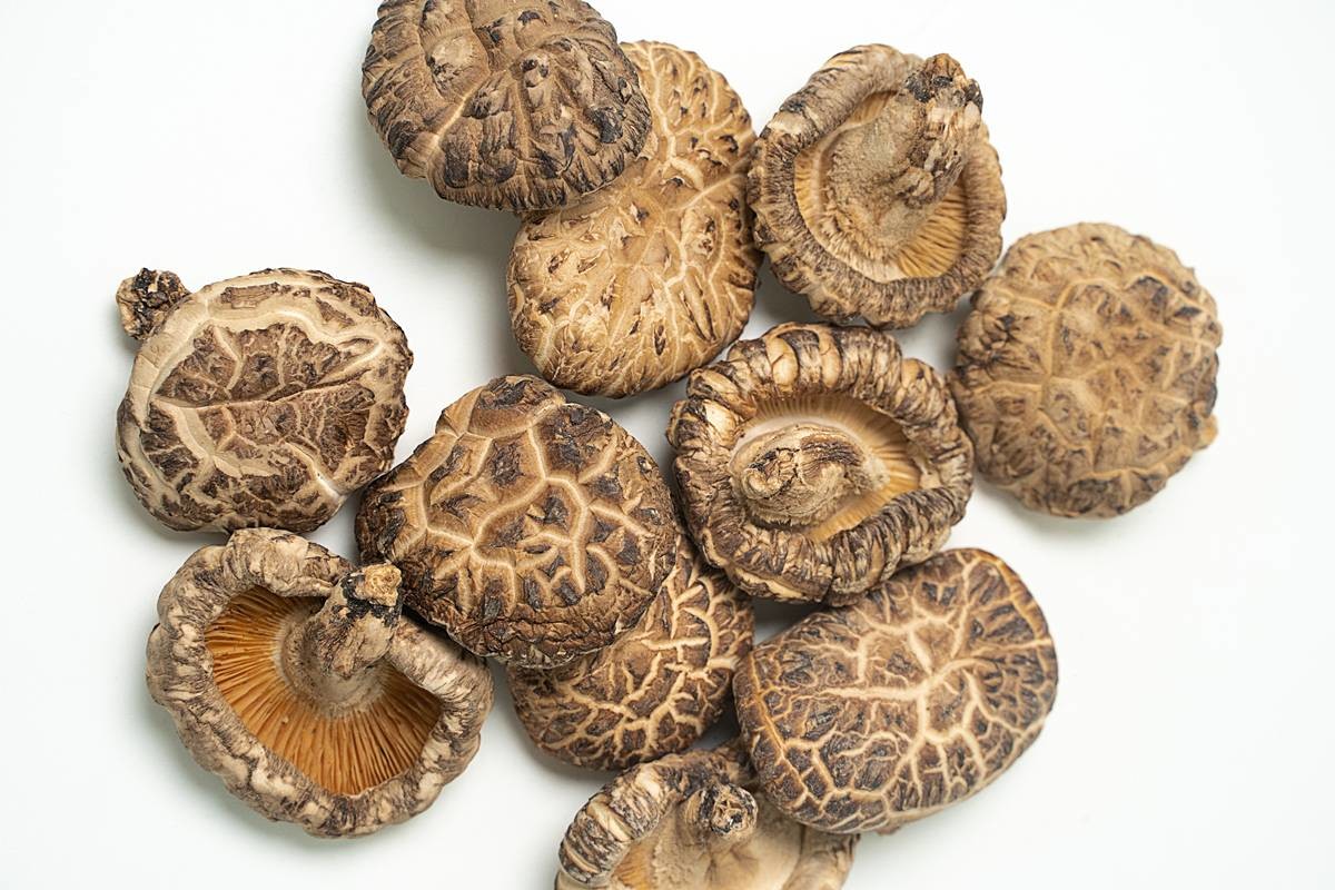 표고버섯 / dear.id_official-Shutterstock.com