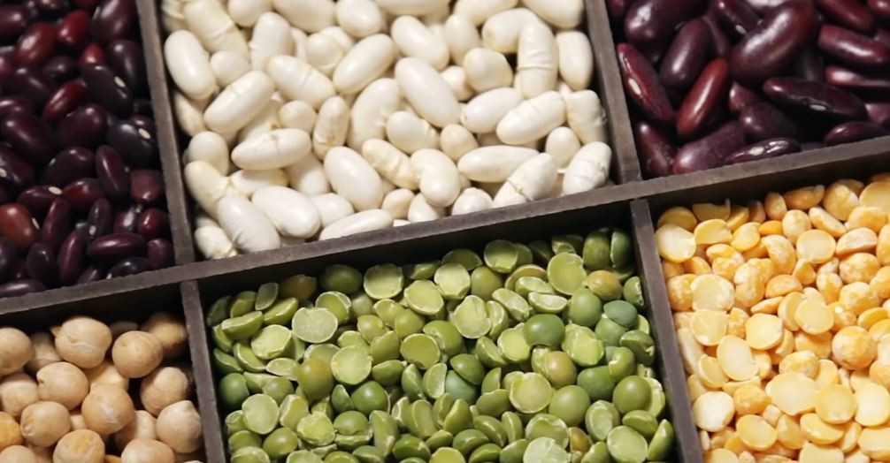 렌틸콩은 조금만 먹어도 포만감을 유지할 수 있다. / 유튜브 '정희원의 저속노화'