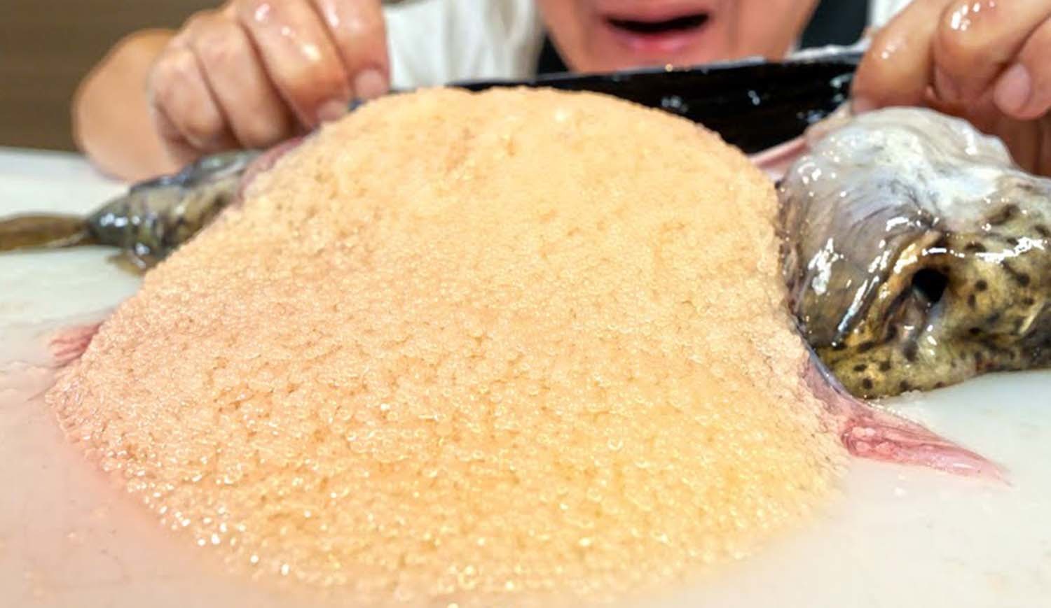 강원도에서 도치로 불리는 뚝지. / '입질의추억TV' 유튜브