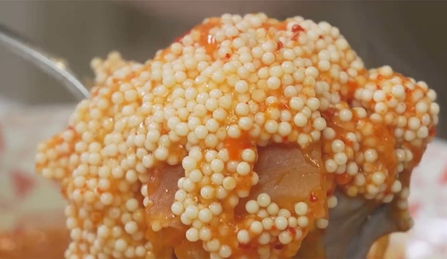 뚝지알탕 / '입질의추억TV' 유튜브